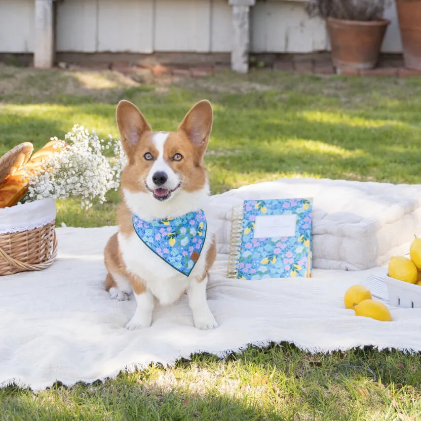 Dog and Cat Bandana: TFD x Simplified® Bees in Bloom