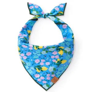 Dog and Cat Bandana: TFD x Simplified® Bees in Bloom